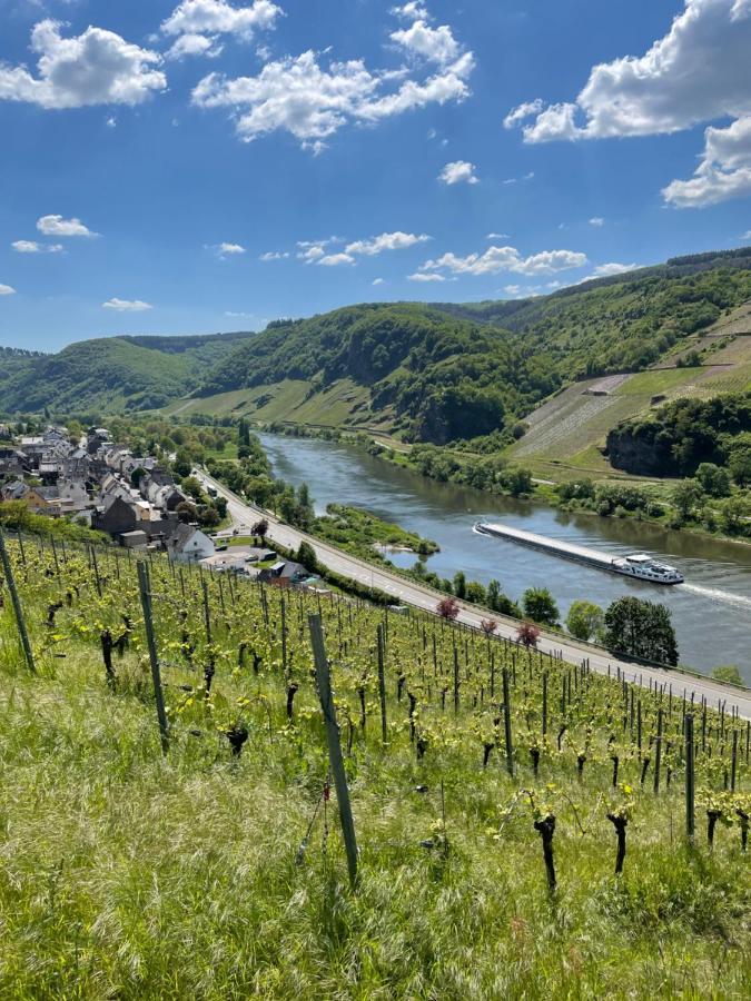 Ferienwohnung Metzen Burg  Exteriér fotografie